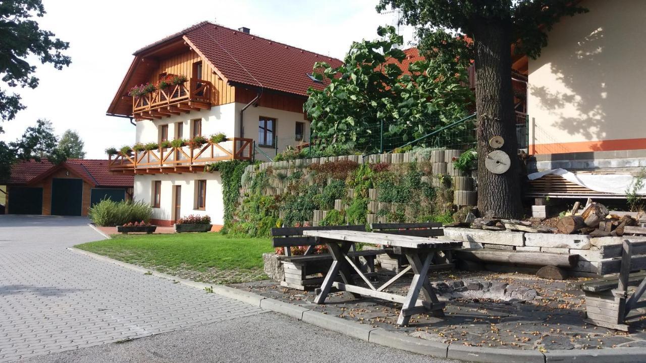 Apartmany U Srdce Vltavy Horní Planá エクステリア 写真